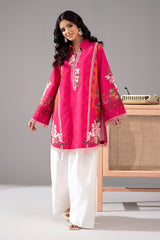 2-PC Stitched Embroidered Lawn Collection CNP-6-229
