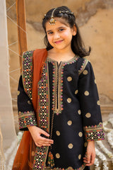 3-PC Embroidered Raw-Silk CKP-6-366