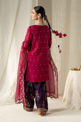 3 Piece Embroidered Linen Suit