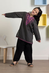 Embroidered Kurta Trouser - 2406