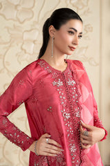3 Piece Embroidered Tissue Silk Suit