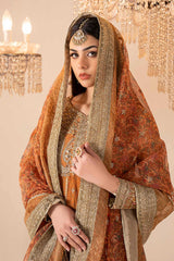 3 Piece Embroidered Net Suit