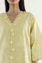 Stitched Embroidered Lawn Shirt+ Shalwar