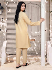2 Piece Silk Suit (Pret)