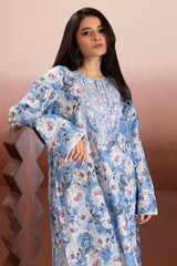 Embroidered Kurta Trouser - 2051