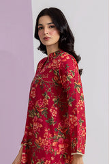Kurta - 2253