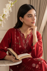 Embroidered Kurta - 2597