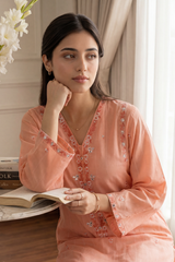Embroidered Kurta Trouser - 2376