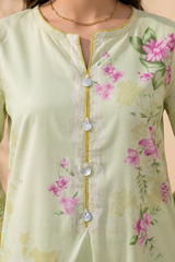Kurta Trouser - 3095