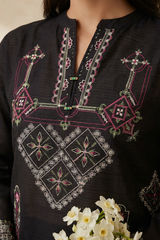 Embroidered Kurta Trouser - 3213