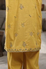 Embroidered Kurta Trouser - 3351