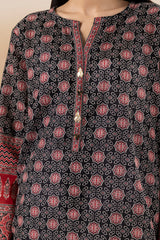 Kurta - 2810