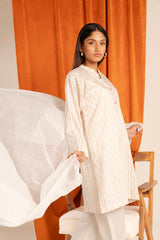 RTW | SHIRT & DUPATTA