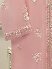 Pure Organza Embroidered Shirt S110121