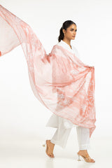 Cambric Schiffli Embroidered Shirt And Dupatta