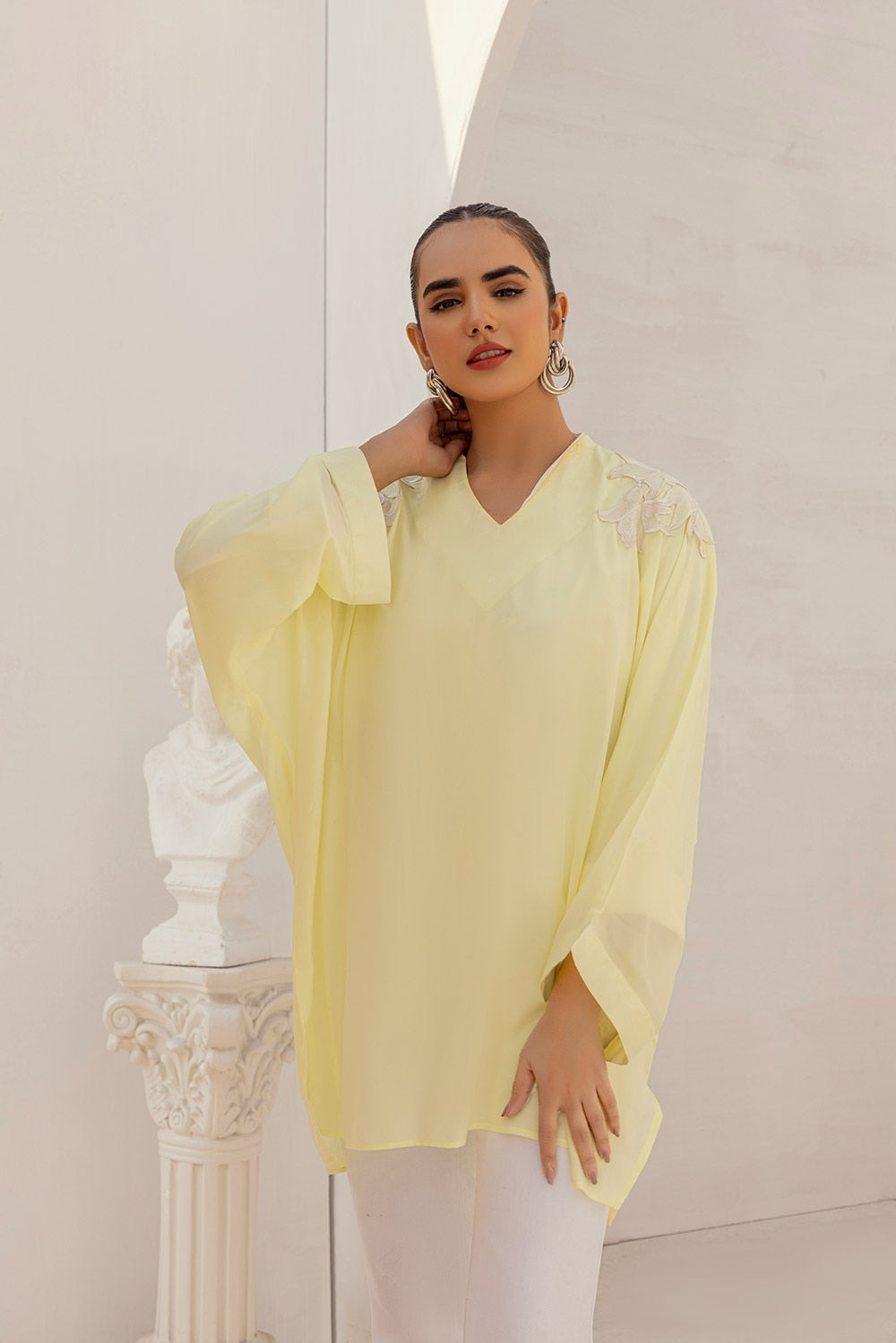 Dyed Georgette Embroidered Top
