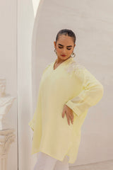 Dyed Georgette Embroidered Top